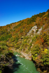 Fototapeta na wymiar Autumn of Shogawa river in Toyama, Japan. 庄川の秋　紅葉シーズン　日本富山県南砺市