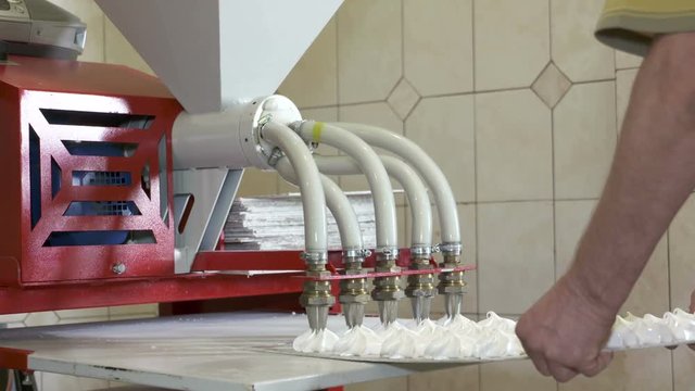 Confectionery factory production of sweet marshmallow zephyr