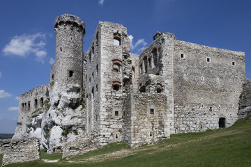 Fototapeta na wymiar Ruins of the castle Ogrodzieniec - Poland