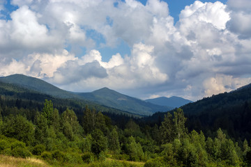 Fototapeta na wymiar landscapes of mountains covered with dense coniferous forest, against a blue sky with clouds