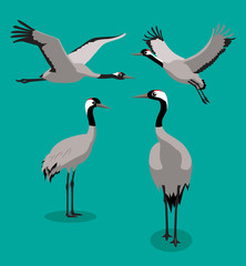 Bird Common Crane Cartoon Vector Illustration