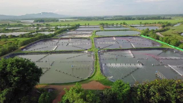 Shrimp or Prawn Farm in Rural Part of Thailand. Aerial View