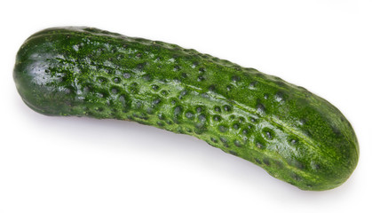Fresh cucumber