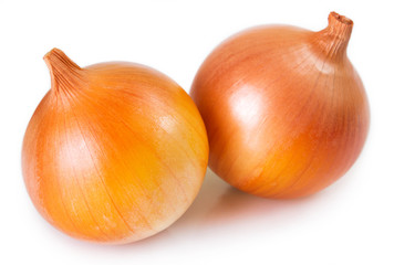 Fresh onion on white background