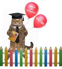 The cat teacher is holding a book 