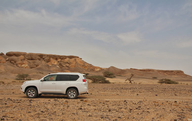 A single jeep in the desert