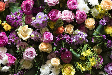 Blumen, Hintergrund, Wand