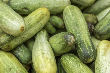 Closeup of fresh cucumbers sale in a grocery shop