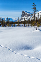 Skierfe Panorama in Scheden im Sarek Nationalpark