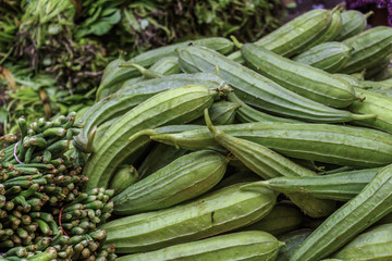The close-up of towel gourd.