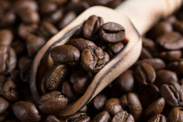 Grains of coffee in a scoop