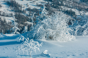 Winter mountain snowy landscape