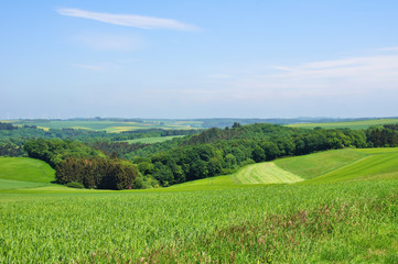 Wälder und Felder im Frühling im Hunsrück in der Nähe von Altlay
