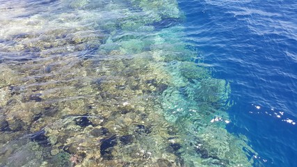 Fototapeta na wymiar Egipt Sharm el sheikh rafa koralowa
