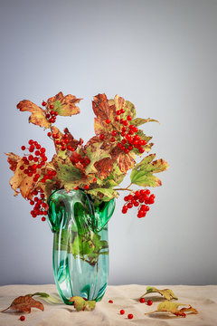 Red viburnum on a branch in a vase