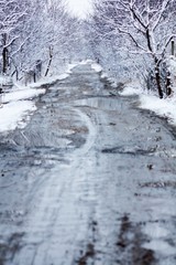 Fototapeta na wymiar Country Road in Winter