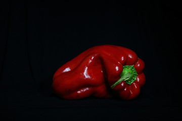 red pepper on a black background