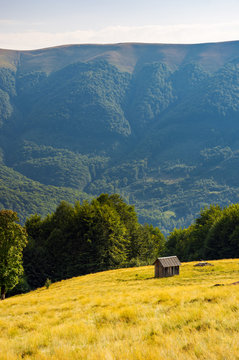 hut on the grassy hill near the beech forest. beautiful scenery in mountains. warm and sunny afternoon in summer