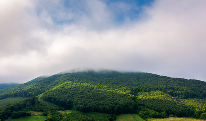 cloud above the forested hill. beautiful countryside scenery