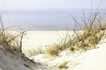 Morze Bałtyckie, widok z zachmurzonym niebieskim niebem  - obrazy, fototapety, plakaty