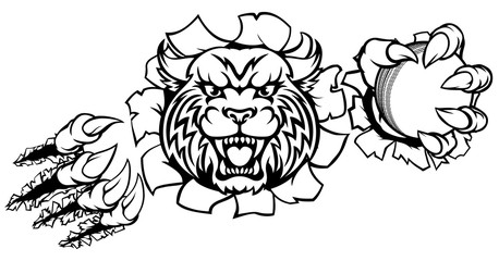 Wildcat Holding Cricket Ball Breaking Background