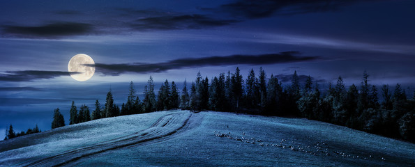 road uphill in to the forest at night in full moon light. beautiful countryside panoramic scenery....