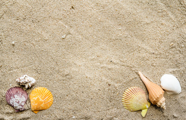 Top view of beach sand with seashell and sunlight, summer background concept.