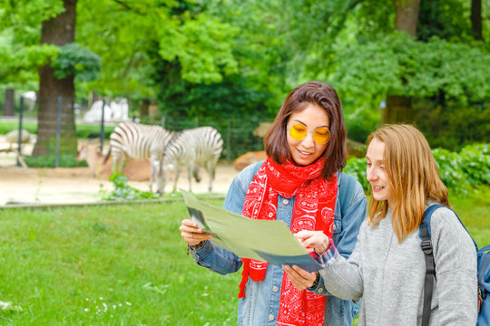 Two girls friends students looking at map in the background of zebra animals in the Zoo, leisure and zoology concept
