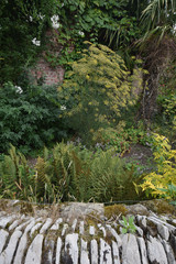 Sensory Garden Trelissick Gardens Truro Cornwall