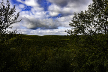 Obraz premium Road to Hammerfest