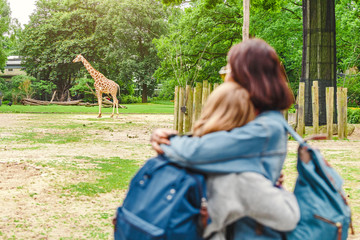 Naklejka premium Szczęśliwi przyjaciele dziewczyny oglądając żyrafę w zoo. zabawa w parku safari i edukacja dla studentów zoologii