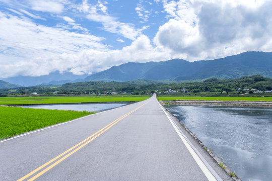 Landscape View Of Beautiful Paddy Field (Rice Plantation) At Brown Avenue, Chishang, Taitung, Taiwan