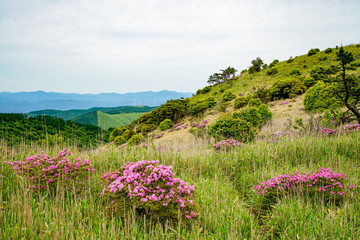 Obraz premium 猟師岳 登山道