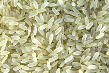 Chicchi di riso