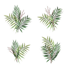 Fototapeta premium Watercolor yand drawn palm leaves with seeds. Compositions isolated on white background.