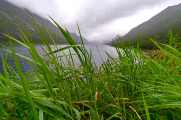 Paesaggio Norvegese
