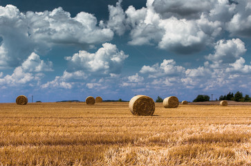 Twisted haystack on agriculture field landscape.