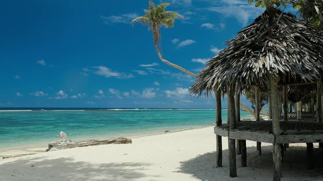 Beach on Samoa Island with palm tree and fale