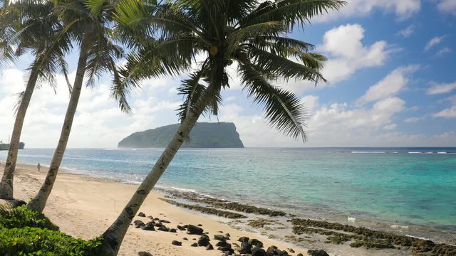 Beach on Samoa Island with palm tree and fale