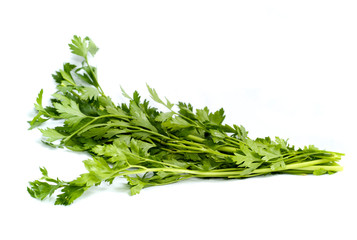 Isolated fresh flat leaf parsley, white background
