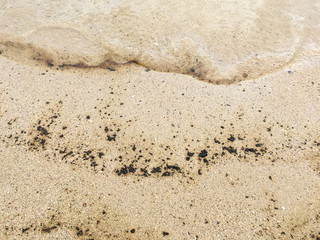 Effect of oil spill on the sand beach, pollution