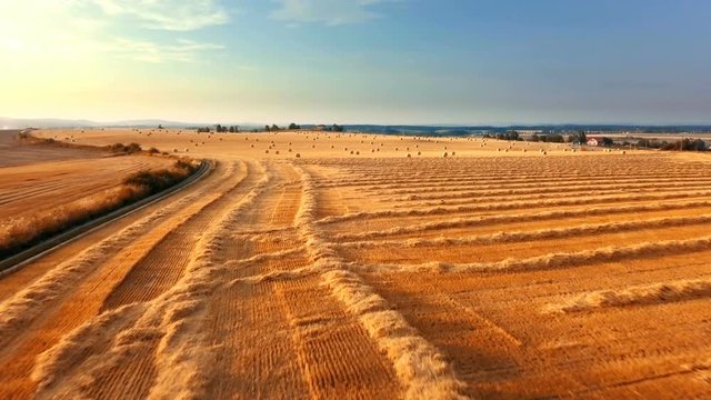Summer harvested field with straw bales in evening sunset, agriculture concept, aerial view