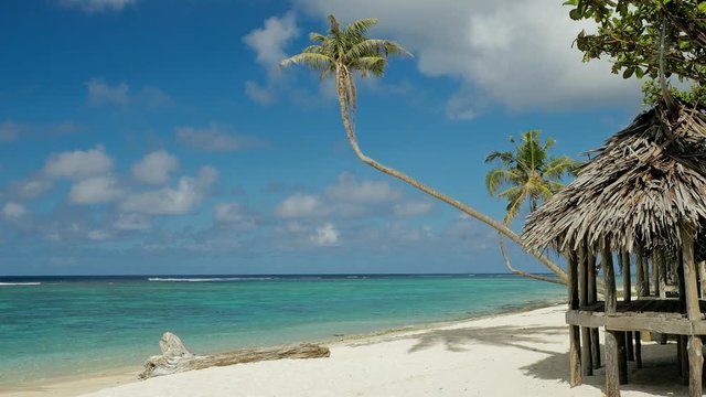 Beach on Samoa Island with palm tree and fale
