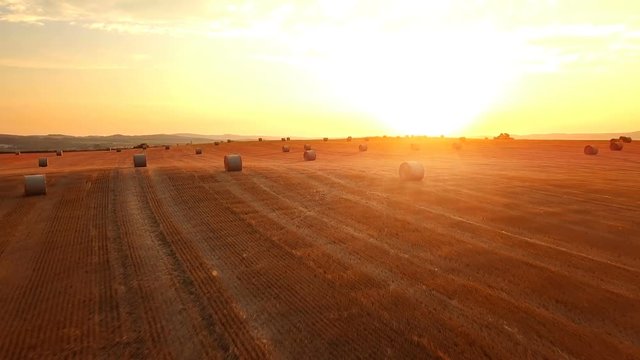 Summer harvested field with straw bales in evening sunset, agriculture concept, aerial view