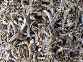 Getrocknete Sardinen