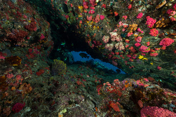 Naklejka na ściany i meble opening crack cave in a colorful coral reef with fish