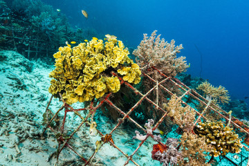 man-made artificial reef with metal struture and concrete to help marine life to recover destroyed area