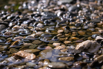 Pebbles in water after a short summer rain in the afternoon, Predeal, Romania