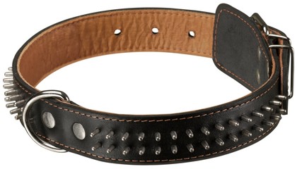 Black Dog Collar