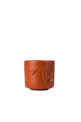 Chinese Tea Cup with isolated on white background